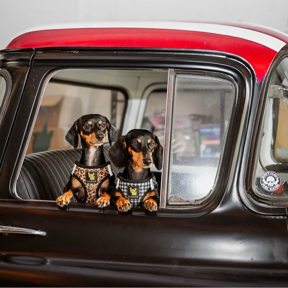 Meet your Posher, Jaimee - Picture 10 of 15